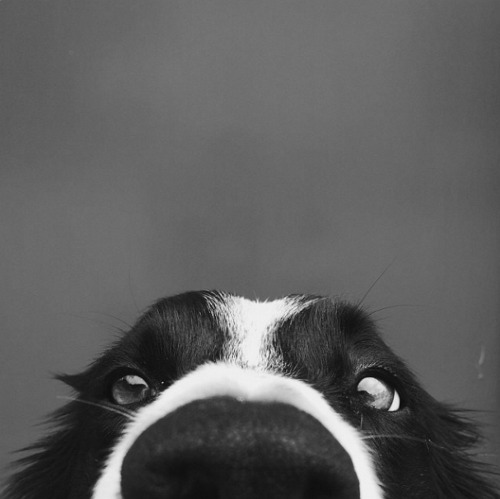 tumblr_nd64qgnQEq1ra3drto1_500